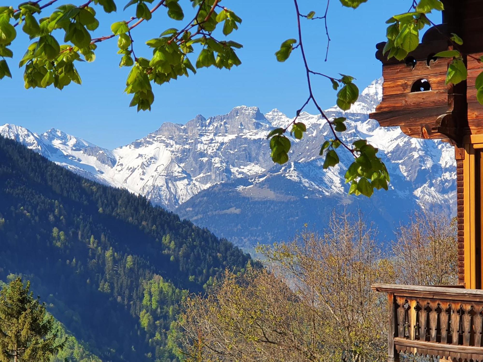 Magnifique Chalet Valerie 5 Chambres A Coucher & Vue Unique Gryon Kültér fotó